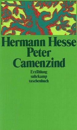 Peter Camenzind artwork