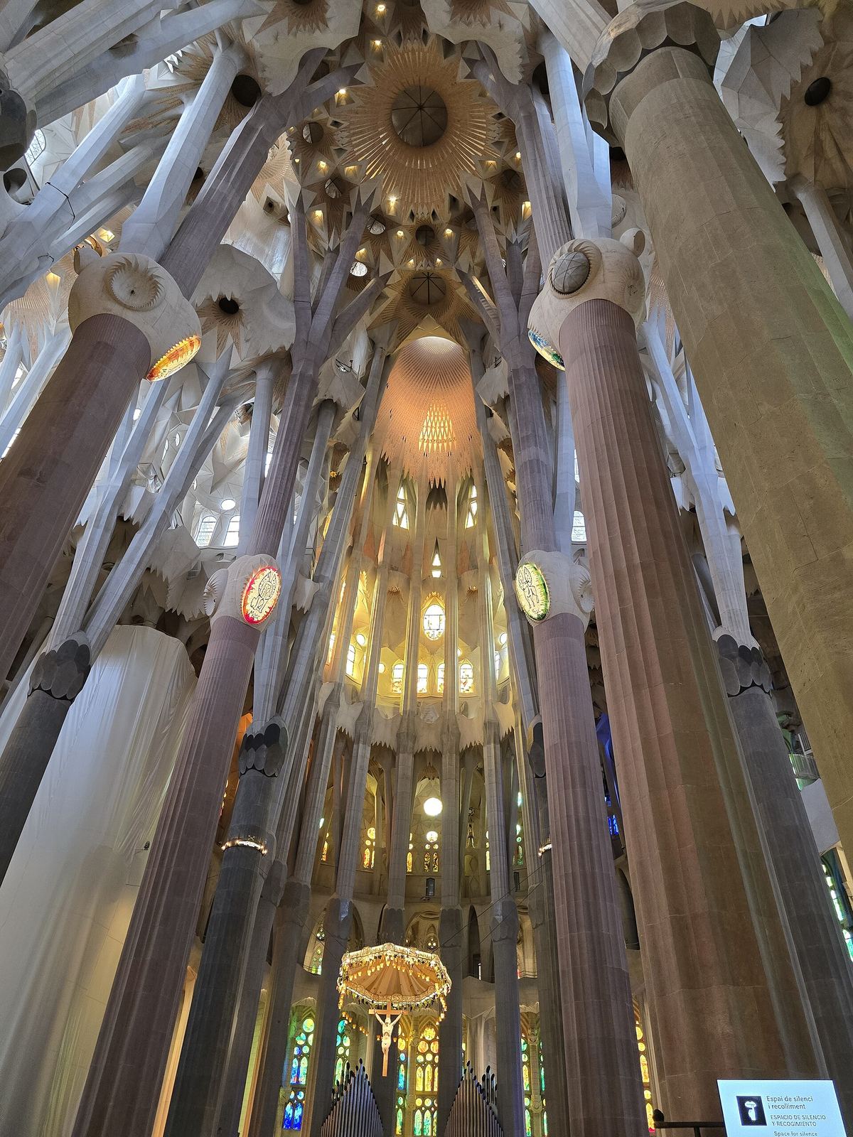 Branching columns and vaults inside the Sagrada Família.