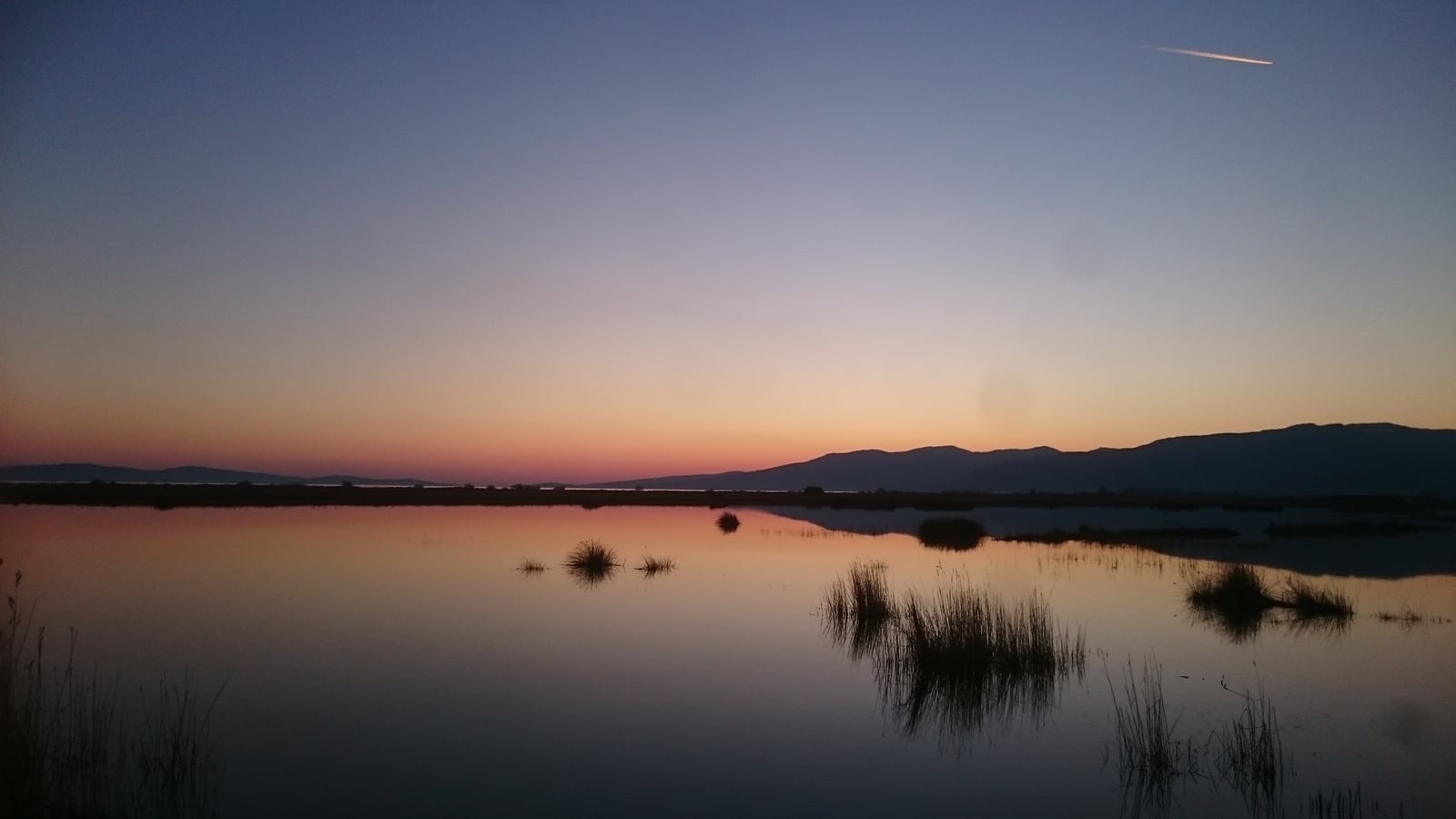 Still water and clumps of reeds at dusk in the Gulf of Kalloni, with low hills on the horizon.