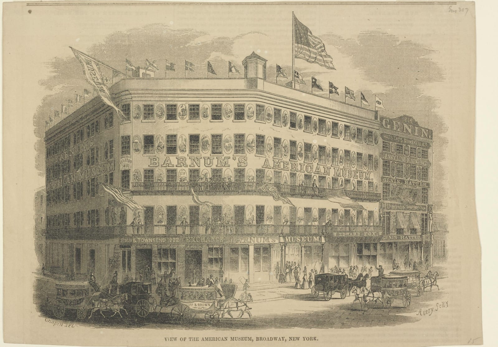 An engraving of a five-storey corner building covered in oval animal paintings and the words “Barnum’s American Museum”, with flags along the roof, balconies full of people and omnibuses and carriages in the street. Genin’s hat shop stands next door.