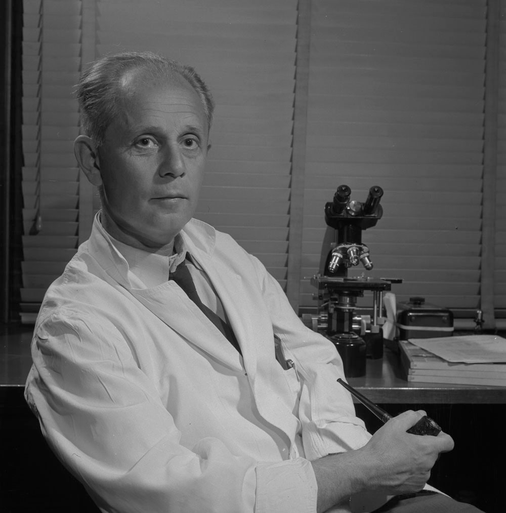Hans Selye in a white lab coat beside a microscope in his laboratory, June 1956.